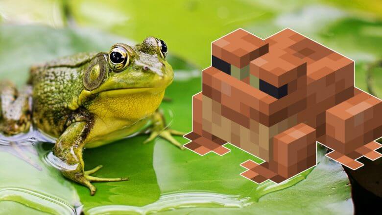 MINECRAFT: NEW PATCH 1.19 Update  You'll Kill Real Frogs